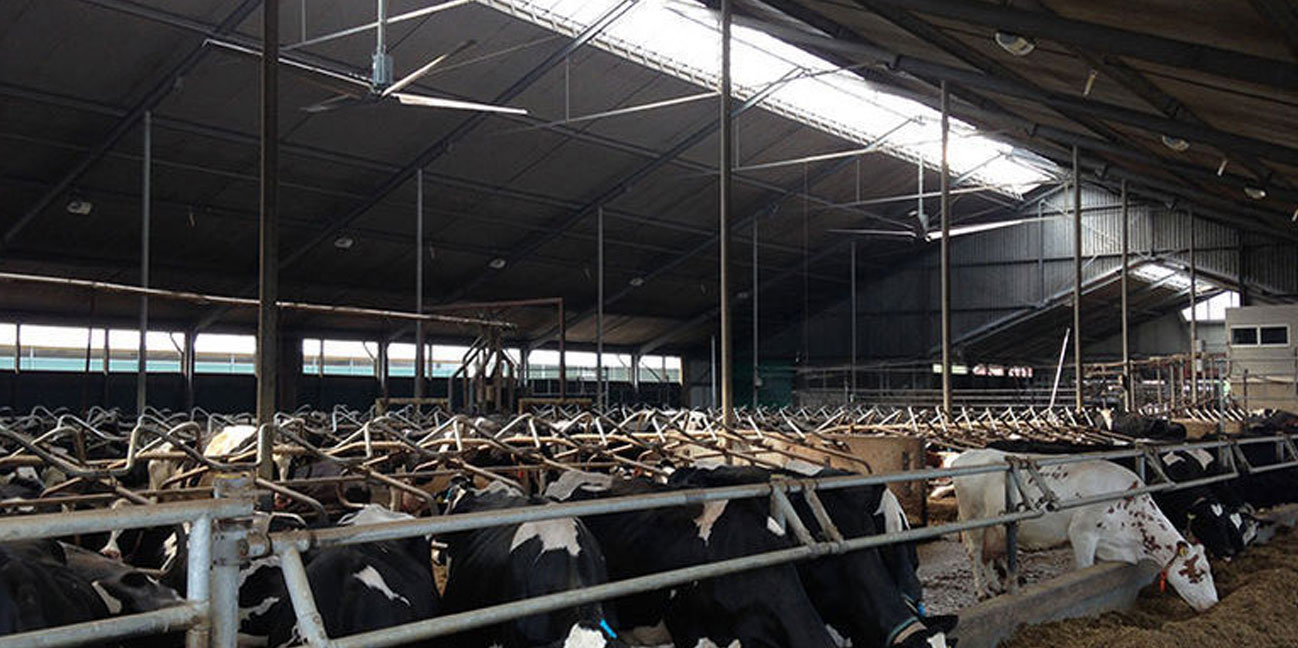 畜牧(圖1) 畜牧(圖1)